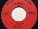 70s MODERN SOUL Pleasure MY TRUE LOVE Asmar 45  Houston Texas