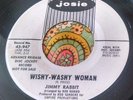 Tough Texas Garage Harp-Wailer 45 Jimmy Rabbit Wishy-Washy Woman / My Girl HEAR