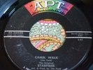 Sleazy Garage Tittyshaker Instro 45 Starfires Camel Walk / Fender Bender HEAR