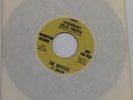The Beatles Strawberry Fields/Penny Lane 45RPM Album Record Promo Not For Sale