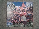 Jellyfish -- Belly Button L.P