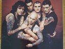 Rose Tattoo ?– Scarred For Life LP Ex.Cond Vinyl