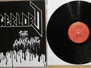 LP Vinyl Powerlord - The Awakening