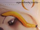 A PERFECT CIRCLE - Thirteenth Step - Vinyl (2xLP)