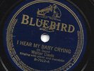 BLUES - WALTER DAVIS 