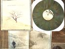 Chuck Ragan - Feast or Famine Vinyl LP Green / Multicolor splatter