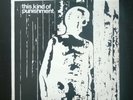This Kind Of Punishment - This Kind Of Punishment, Vinyl, Flying Nun, Post Punk