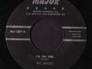 SPADES: Close To You / I'm On Fire 45 (scarce Texas Rockabilly scorcher )
