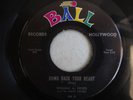WILLIAM A. HINES - BRING BACK YOUR HEART / OLD MASTER PAINTER 45 BALL 508 DOOWOP