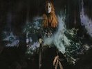 `AMOS, TORI`-NATIVE INVADER (LP)  (US IMPORT)  VINYL LP NEW