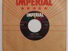 Orig Johnny & Dorsey Burnette, Warm Love 45rpm record, guitar rockabilly RAB