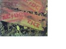 AC/DC ?– T.N.T. (LP)