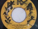 BLUES BUSTERS - LOVE ME FOREVER / I WON'T LET YOU GO - BRA ( SKA )