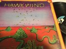 HAWKWIND   UK Press  SELF TITLED orig LP