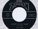 Slim Harpo 45 Rainin' In My Heart NM 1961 R&B BB# 34 Rare Canada Zirkon 1063