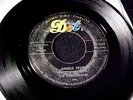 THUNDERTONES Jungle Fever/Hot Ice RAW SURF ROCKABILLY TITTYSHAKER 45 on DOT HEAR