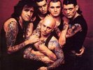 ROSE TATTOO SCARRED FOR LIFE NEW VINYL