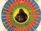 PEDRO SANTOS KRISHNANDA NEW VINYL