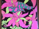 The Golden Dawn Power Plant ORIGINAL 1968 LP rare psych International Artists