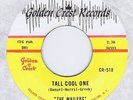 Wailers 45 Tall Cool One 1964 Garage Rock Instro NM BB # 38 Golden Crest CR-518