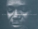 HORACE ANDY IN THE LIGHT NEW VINYL
