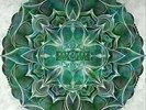 NAPOLEON (BASICK RECORDS) NEWBORN MIND NEW VINYL