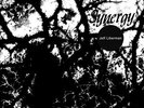 JEFF LIBERMAN SYNERGY NEW VINYL