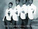 THE TECHNIQUES WINSTON RILEY'S ROCK STEADY & EARLY REGGAE 1968-1969 NEW VINYL