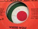 Rare. Wolf In Sheep Clothing   Upright Foundation