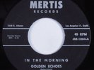 Black Gospel 45 GOLDEN ECHOES In The Morning MERTIS VG++ HEAR