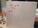 DINOSAUR L - 24-24 MUSIC - SLEEPING BAD RECORDS VINYL LP RECORD