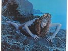 Roxy Music - Siren LP - ATCO VG++