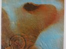 Pink Floyd - Meddle LP - EMI Japan w/ Inserts
