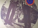 SEGALL, Ty/WHITE FENCE - Hair - Vinyl (LP)