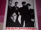 TRIFFIDS   ORIG GIG POSTER. VG+