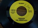 THE ESSENTIALS RARE GARAGE PSYCH 45 FREEDOM/ SUNSHINE BABY ON KANDY LABEL