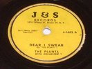 THE PLANTS - J&S Records Bronx NY J-1602 It's You / Dear I Swear