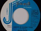 WAYNE SMITH: Under Mi Sleng Teng JAMMYS Reggae Rare 45 7” HEAR