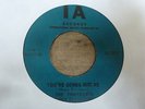 The Thirteenth Floor Elevators - You're Gonna Miss Me 1966 CANADA 45 PSYCH