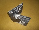 The Groundhogs Vinyl Split German First Press F O C