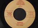 JESSE POWELL: Turnpike / Ain't You Gonna 45 (instro) Blues & R&B