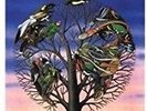 Laughing Stock - Talk Talk 600753655191 (Vinyl Used Like New)