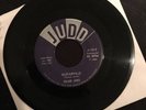 Roland James Guitarville/ Patriotic Guitar 45 JUDD VG