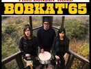 BOBKAT '65 This Lonely Road yellow vinyl LP + MP3 garage punk Cobras Esquires