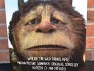 Karen O And The Kids - Where The Wild Things Are O.S.T. LTD COLORED VINYL New