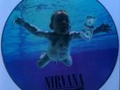 Nirvana Nevermind picture disc LP. Brand New. Never Played.