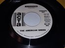 THE AMERICAN BREED Bend Me, Shape Me / Mindrocker 1968 WLP PROMO 7