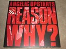 ANGELIC UPSTARTS - REASON WHY? - DOUBLE LP RECORD
