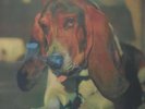 DUFFY - JUST IN CASE YOU'RE INTERESTED - BLUES / PSYCH ROCK - NEW