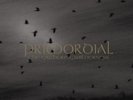 PRIMORDIAL - The Gathering Wilderness  DLP  BLACK